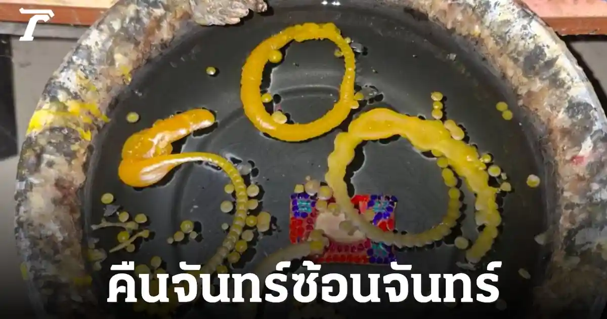 เปิดเลขเด็ด ขันน้ำมนต์คำชะโนด คืนจันทร์ซ้อนจันทร์ ลุ้นโชคงวด 1 ก.ค. 69